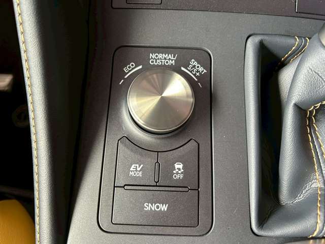 レクサス ＲＣ３００ｈ Ｆスポーツ R2年 (東海) 99