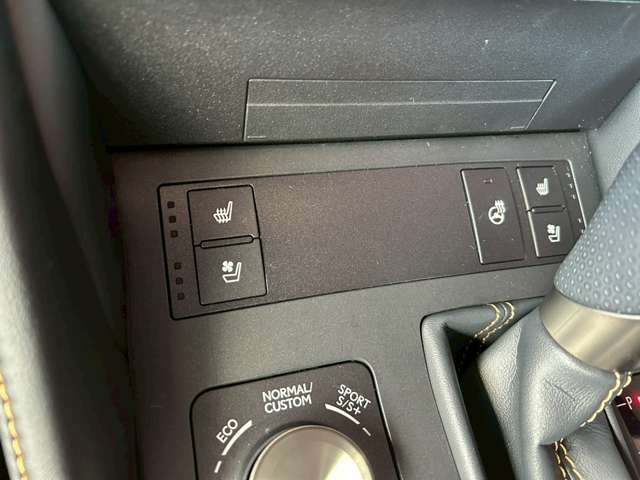 レクサス ＲＣ３００ｈ Ｆスポーツ R2年 (東海) 99