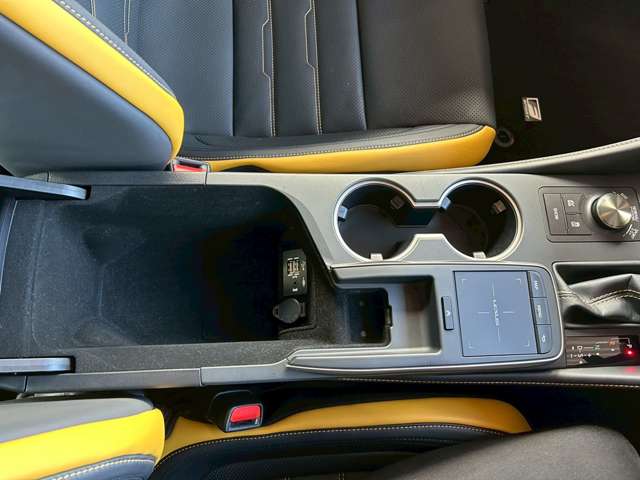 レクサス ＲＣ３００ｈ Ｆスポーツ R2年 (東海) 99