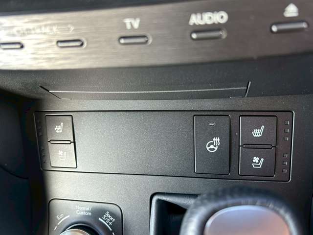 レクサス ＲＣ３００ｈ Ｆスポーツ R6年 (東海) 99