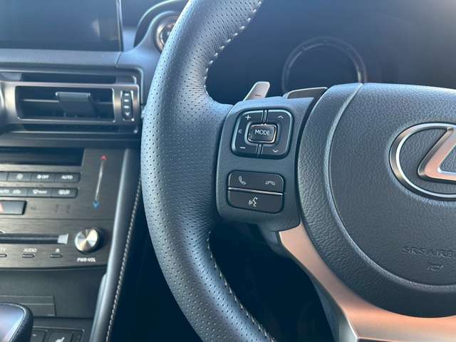 レクサス ＲＣ３００ｈ Ｆスポーツ R6年 (東海) 99