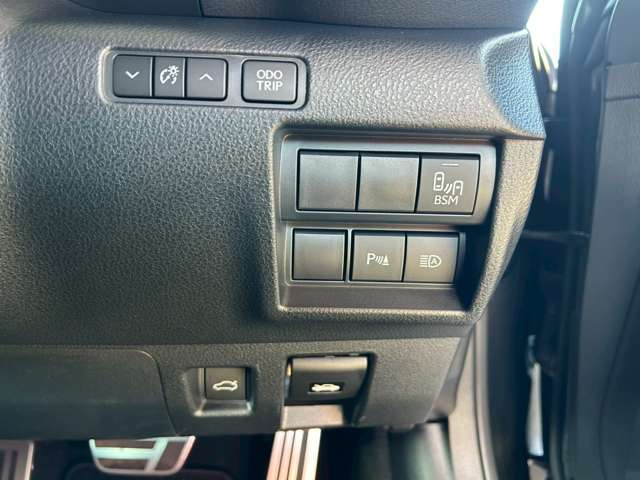 レクサス ＲＣ３００ｈ Ｆスポーツ R6年 (東海) 99