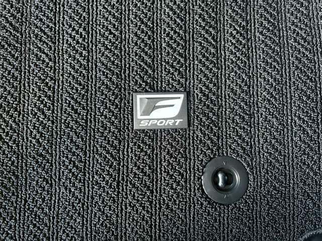 レクサス ＲＣ３００ｈ Ｆスポーツ R6年 (東海) 99