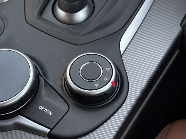 アルファロメオ ジュリア ２．０ ターボ ヴェローチェ R1年 (東北) 99