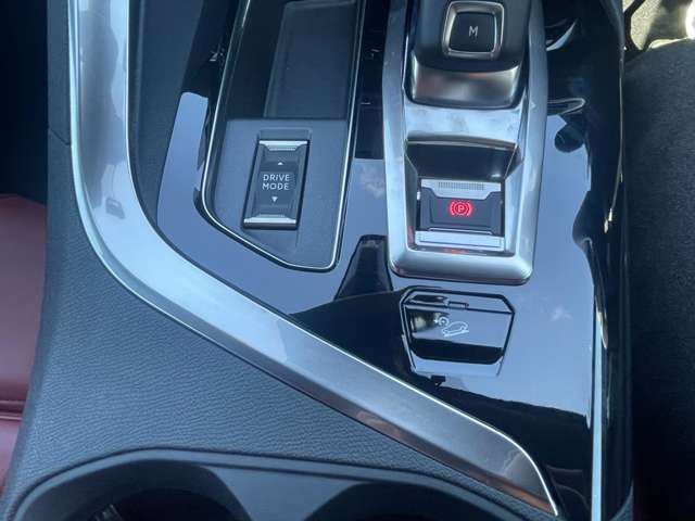 プジョー ３００８ ＧＴ ブルーＨＤＩ レッド ナッパ ディーゼルターボ R3年 (東北) 99