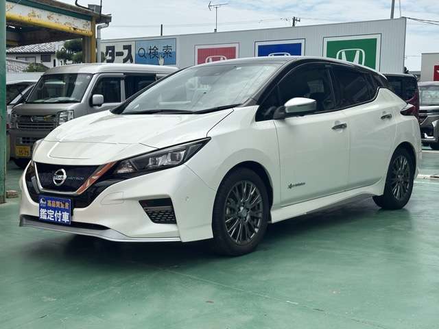 日産 リーフ ＡＵＴＥＣＨ R2年 (東海) 99