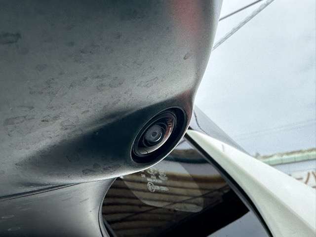 日産 リーフ ＡＵＴＥＣＨ R2年 (東海) 99