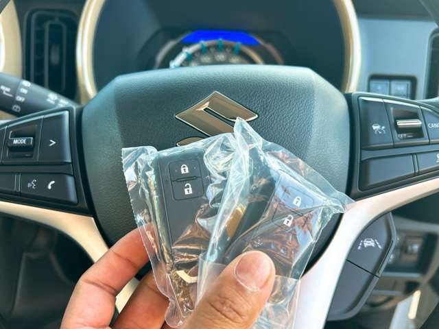 スズキ ハスラー ６６０ ハイブリッド Ｇ R7年 (九州・沖縄) 99