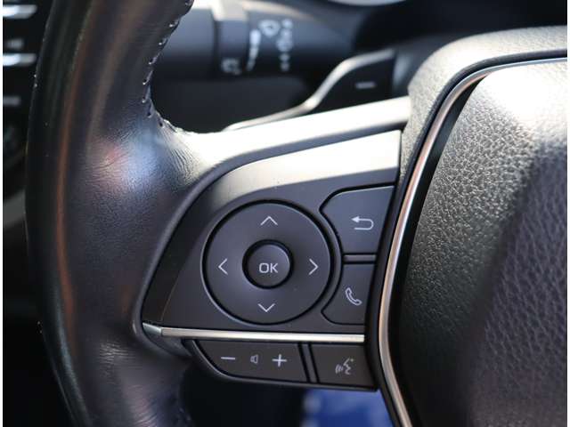 トヨタ カムリ ２．５ ＷＳ レザーパッケージ H30年 (関東) 99