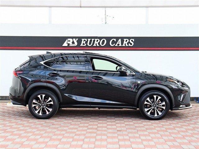 レクサス ＮＸ３００ Ｆスポーツ R1年 (関東) 99