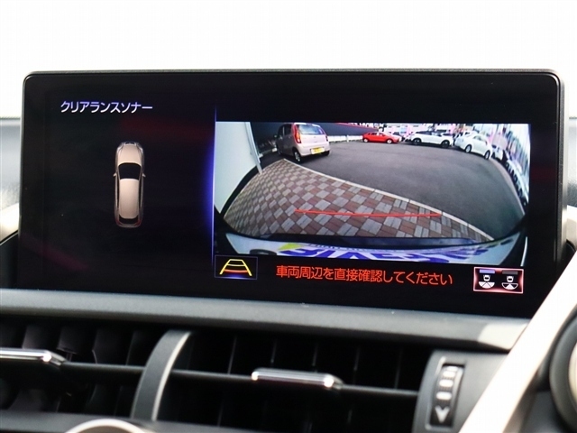 レクサス ＮＸ３００ Ｆスポーツ R1年 (関東) 99