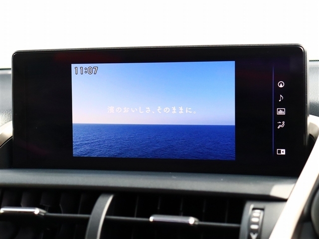 レクサス ＮＸ３００ Ｆスポーツ R1年 (関東) 99