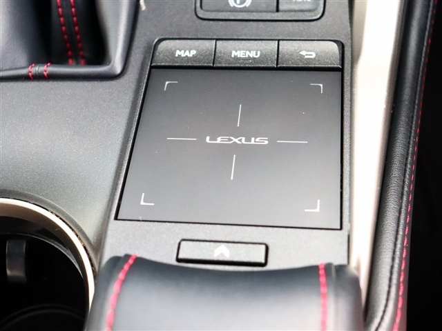 レクサス ＮＸ３００ Ｆスポーツ R1年 (関東) 99