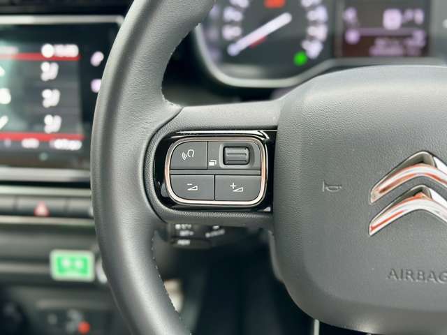 シトロエン Ｃ３　エアクロス　ＳＵＶ オレンジ ディーゼルターボ R6年 (近畿) 99