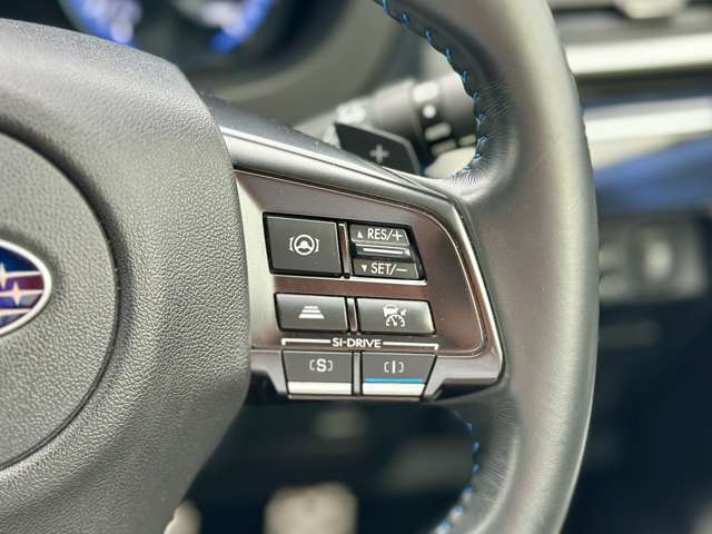 スバル レヴォーグ １．６ ＧＴ－Ｓ アイサイト アドバンテージ ライン ４ＷＤ R1年 (近畿) 99