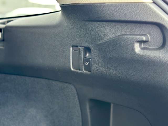 スバル レヴォーグ １．６ ＧＴ－Ｓ アイサイト アドバンテージ ライン ４ＷＤ R1年 (近畿) 99