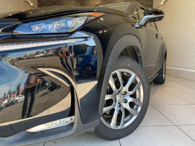 レクサス ＮＸ３００ｈ バージョンＬ H28年 (九州・沖縄) 99