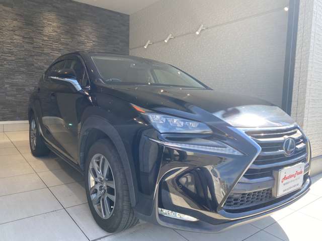 レクサス ＮＸ３００ｈ バージョンＬ H28年 (九州・沖縄) 99