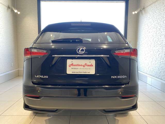 レクサス ＮＸ３００ｈ バージョンＬ H28年 (九州・沖縄) 99