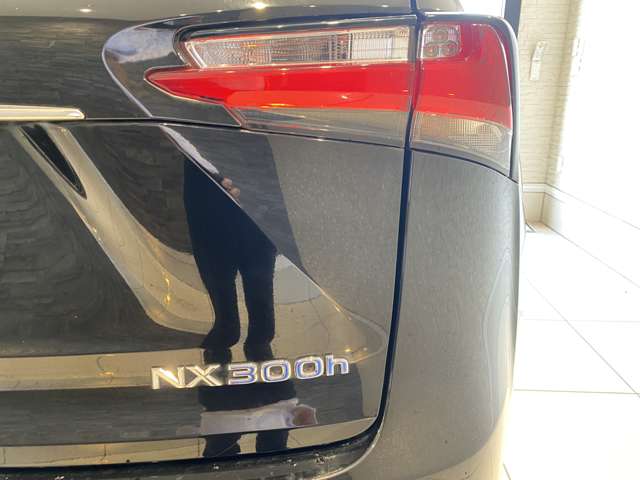 レクサス ＮＸ３００ｈ バージョンＬ H28年 (九州・沖縄) 99
