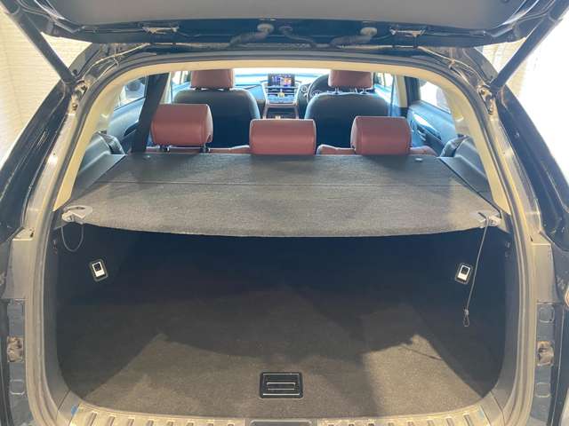 レクサス ＮＸ３００ｈ バージョンＬ H28年 (九州・沖縄) 99