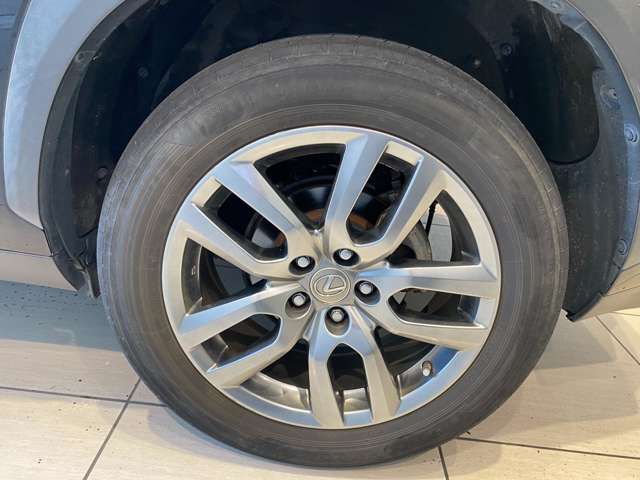 レクサス ＮＸ３００ｈ バージョンＬ H28年 (九州・沖縄) 99