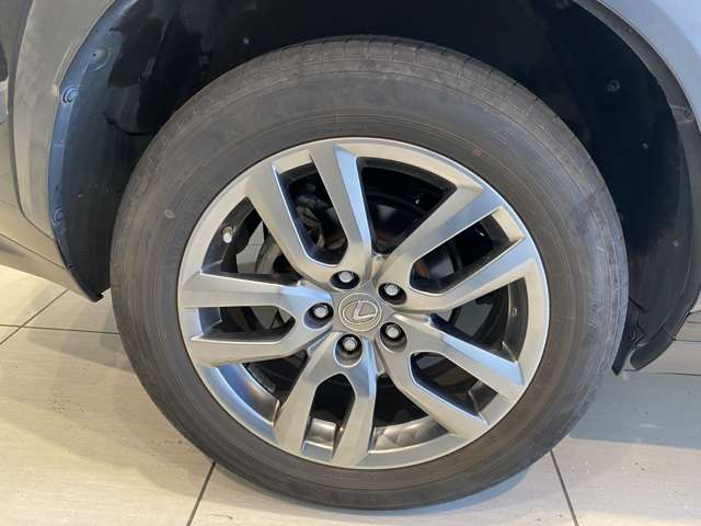 レクサス ＮＸ３００ｈ バージョンＬ H28年 (九州・沖縄) 99