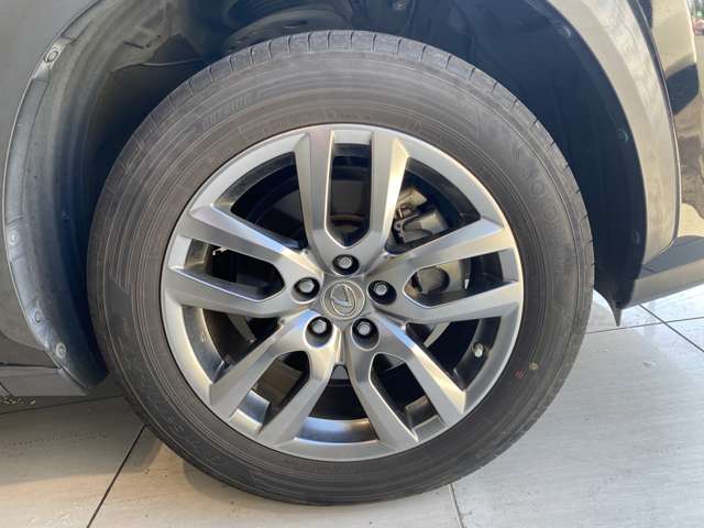 レクサス ＮＸ３００ｈ バージョンＬ H28年 (九州・沖縄) 99