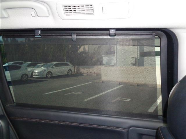 日産 エルグランド ２．５ ２５０ハイウェイスター アーバンクロム H24年 (中国) 99