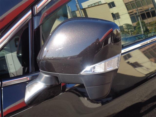 日産 エルグランド ２．５ ２５０ハイウェイスター アーバンクロム H24年 (中国) 99