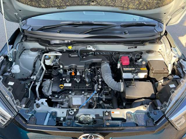 トヨタ ライズ １．２ Ｇ R6年 (東北) 99