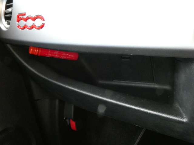 フィアット ５００（チンクエチェント） Ｓ H28年 (関東) 99