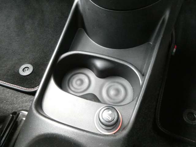 フィアット ５００（チンクエチェント） Ｓ H28年 (関東) 99