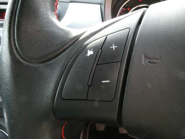 フィアット ５００（チンクエチェント） Ｓ H28年 (関東) 99