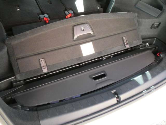 ＢＭＷ ２シリーズグランツアラー ２１８Ｉ ラグジュアリー ＤＣＴ R1年 (関東) 99