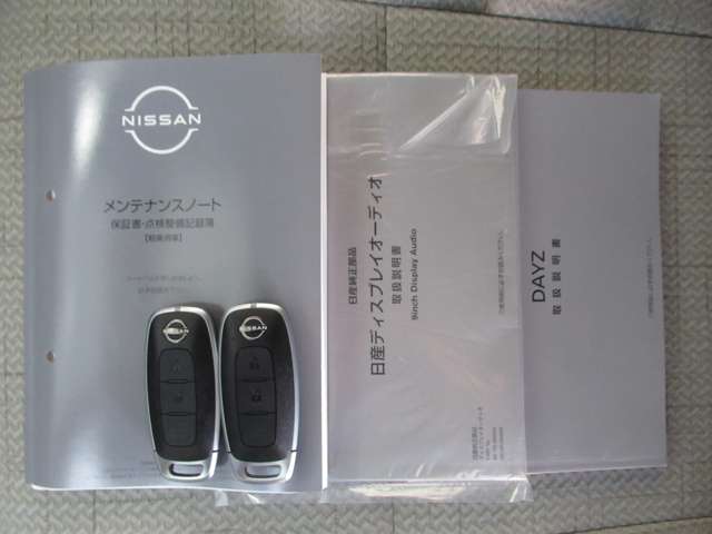 日産 デイズ ６６０ Ｘ R6年 (九州・沖縄) 99