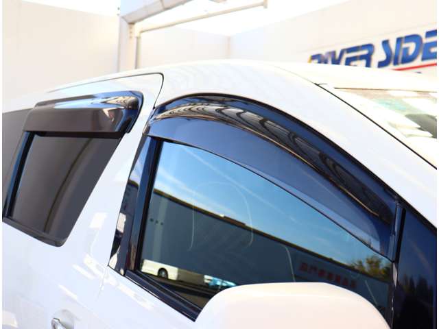 トヨタ アルファード ２．４ ２４０Ｓ タイプゴールド H25年 (関東) 99