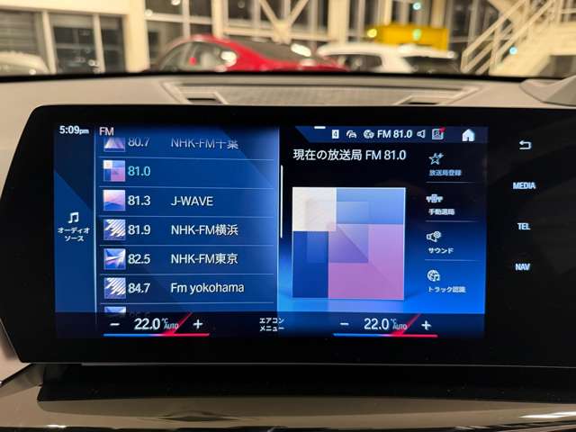 ＢＭＷ ｉＸ１ Ｘドライブ３０ Ｘライン ４ＷＤ R5年 (関東) 99