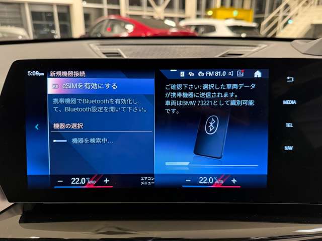 ＢＭＷ ｉＸ１ Ｘドライブ３０ Ｘライン ４ＷＤ R5年 (関東) 99