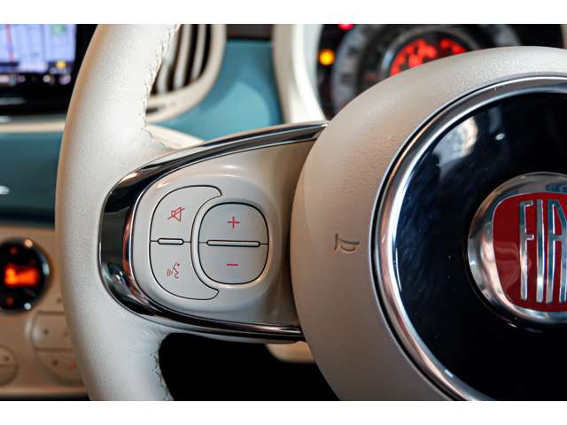 フィアット ５００（チンクエチェント） アニベルサリオ H30年 (北海道) 99