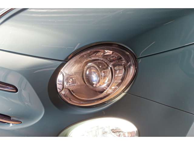 フィアット ５００（チンクエチェント） アニベルサリオ H30年 (北海道) 99