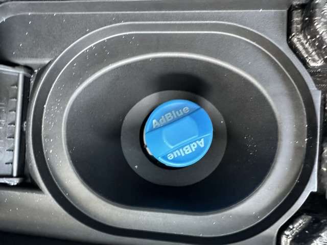 三菱 デリカ　Ｄ：５ ２．２ シャモニー 電動サイドステップ非装着車 ディーゼルターボ ４ＷＤ R7年 (東海) 99