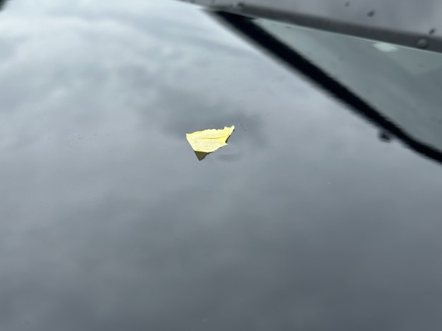 ホンダ Ｎ−ＶＡＮ ６６０ ＋スタイル ファン ターボ R6年 (東海) 99