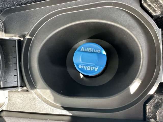 三菱 デリカ　Ｄ：５ ２．２ シャモニー 電動サイドステップ装着車 ディーゼルターボ ４ＷＤ R7年 (東海) 99