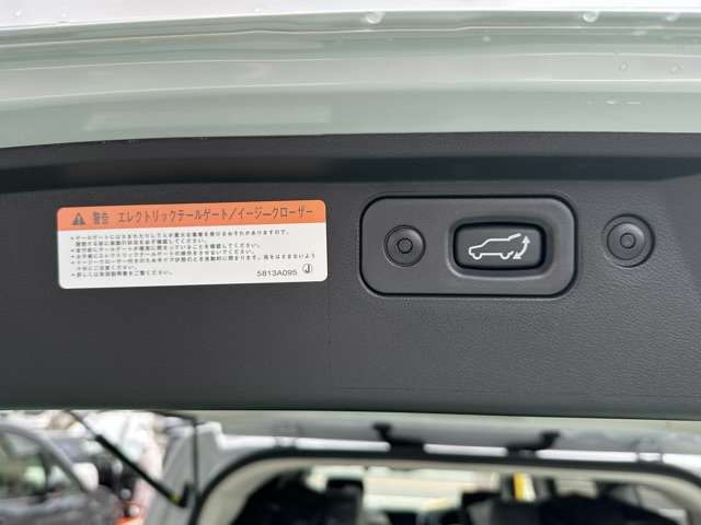 三菱 デリカ　Ｄ：５ ２．２ シャモニー 電動サイドステップ装着車 ディーゼルターボ ４ＷＤ R6年 (東海) 99