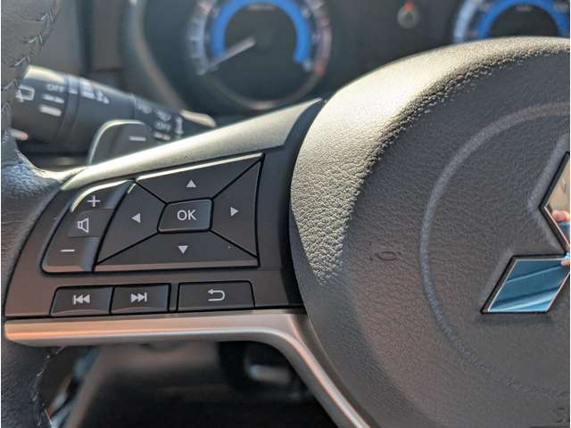 三菱 デリカ　ミニ ６６０ Ｔ プレミアム リミテッド エディション R7年 (関東) 99