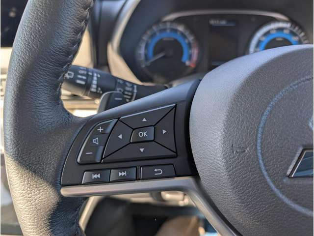 三菱 デリカ　ミニ ６６０ Ｔ プレミアム リミテッド エディション R7年 (関東) 99