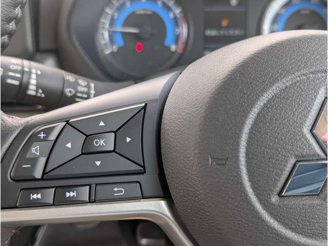 三菱 デリカ　ミニ ６６０ Ｇ プレミアム R7年 (関東) 99