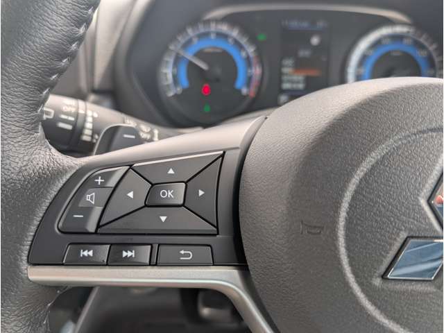 三菱 デリカ　ミニ ６６０ Ｔ プレミアム R7年 (関東) 99