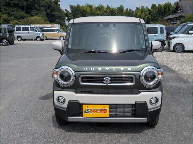 スズキ ハスラー ６６０ ハイブリッド Ｇ R7年 (関東) 99